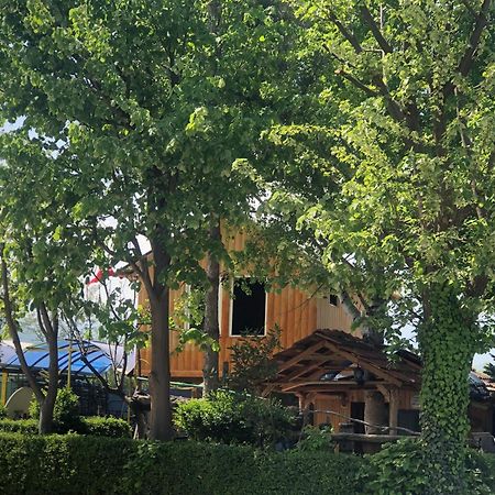 Bujtina Gashi Guest House Kukes Exterior foto